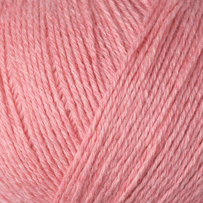 DANOIS + KFO COTTON MERINO
