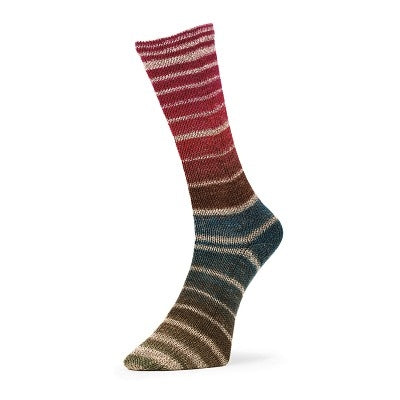 Evolution Aurora Sock
