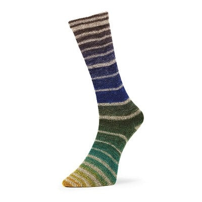 Evolution Aurora Sock