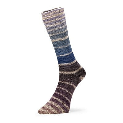 Evolution Aurora Sock