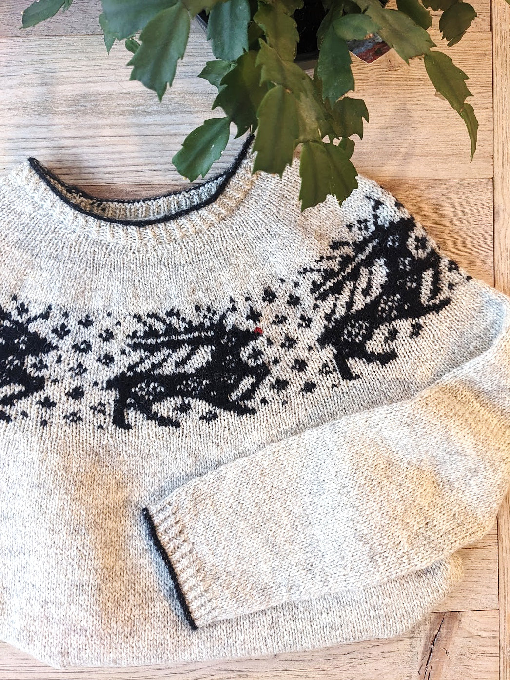 Sleigh Ride Sweater knitting pattern by Espace Tricot, photo 2